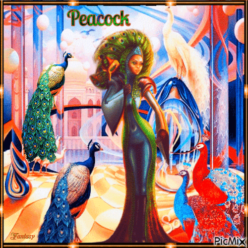 Peacock - Animovaný GIF zadarmo