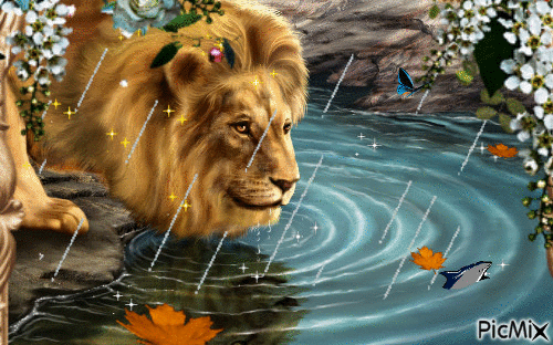 Lion - Бесплатный анимированный гифка
