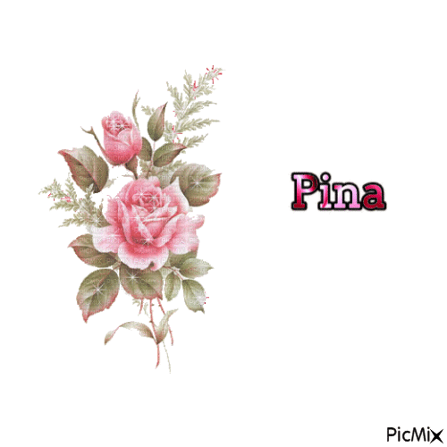 pina - 無料のアニメーション GIF
