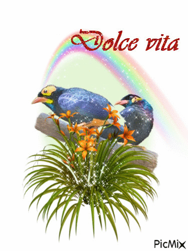 Dolce vita - Δωρεάν κινούμενο GIF