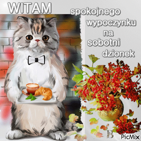 witam - Besplatni animirani GIF