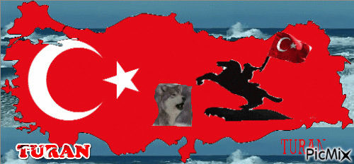 Ay yıldızlı bayrağına, bu canımız feda, Türk'ü, kürt'ü, Çerkezi hepsi burada, Canım canım TÜRKİYEM. - GIF animate gratis