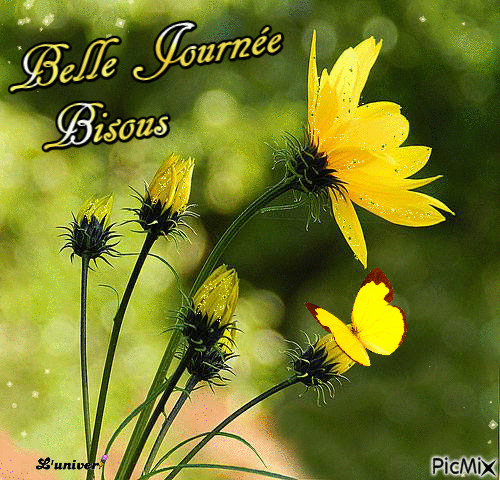 belle journée fleur - Бесплатный анимированный гифка