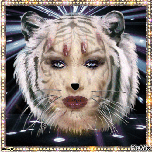 femme tigre concours - Zdarma animovaný GIF