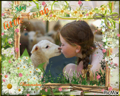 Little lamb - Free animated GIF - PicMix