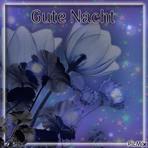 Gute Nacht - Zdarma animovaný GIF