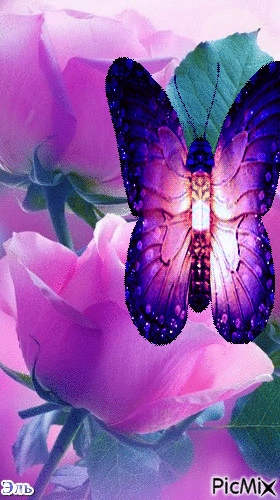 Бабочки - GIF animado grátis