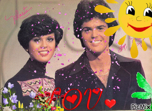 donny and marie - Gratis animerad GIF