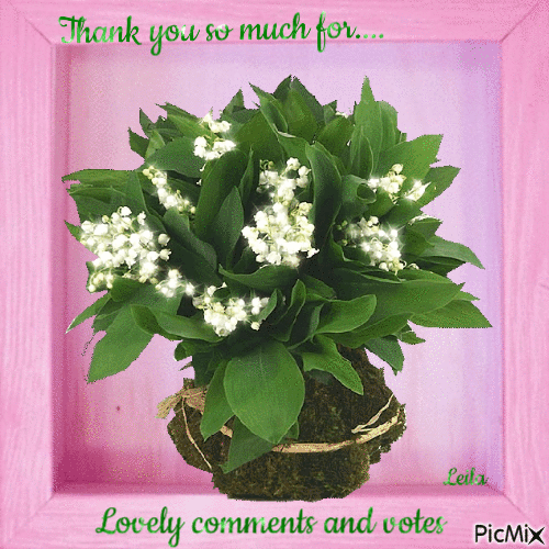 Thank you... for lovely comments and votes - 免费动画 GIF