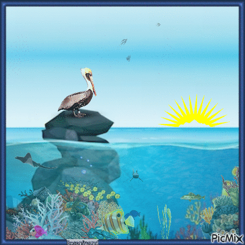 Schöne Unterwasserwelt ( Korallenriff ) - Gratis animerad GIF