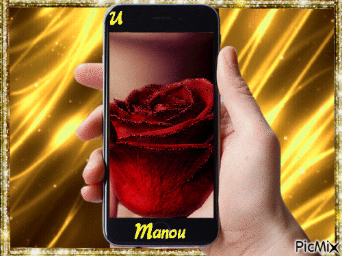 Une rose pour manou - GIF animé gratuit