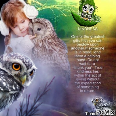 OWL - ingyenes png