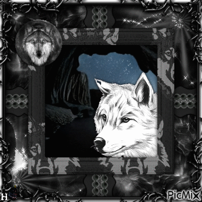 -Sketch Drawing of a Wolf- - GIF animate gratis