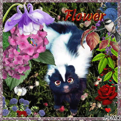 Flower, the little skunk - GIF animé gratuit