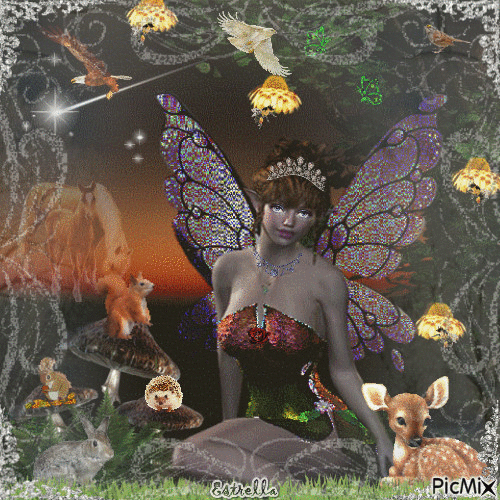 THE FAIRY FOREST - Free animated GIF