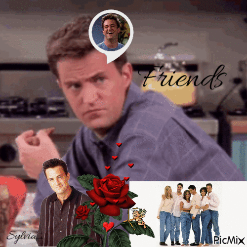 Friends ! - Free animated GIF
