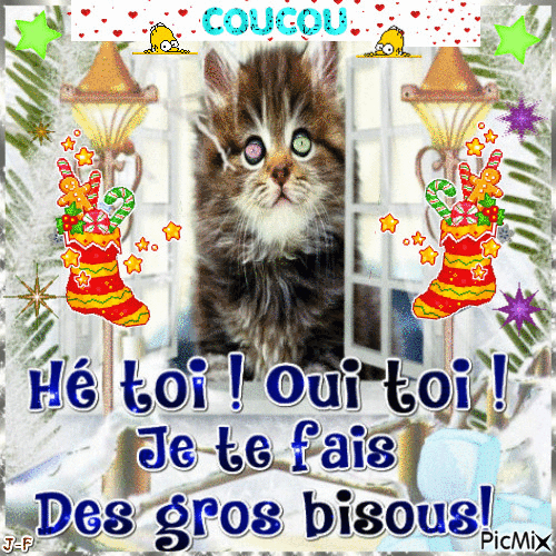 chat bisous - Free animated GIF