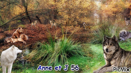 Anne et joel - Δωρεάν κινούμενο GIF