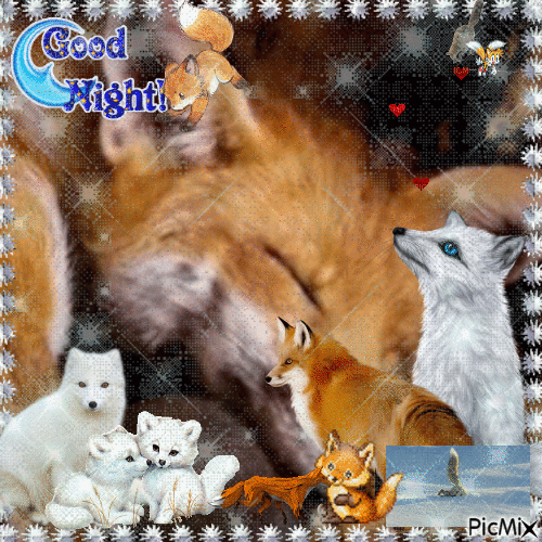 fox goodnight - GIF animado grátis