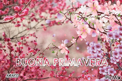 BUONA PRIMAVERA - 無料のアニメーション GIF
