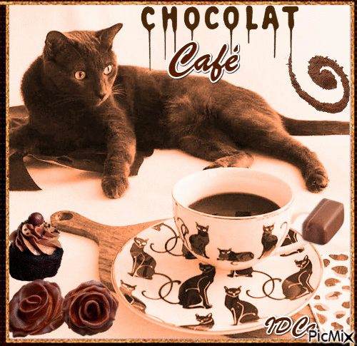 Café ou chocolat du chat - Darmowy animowany GIF