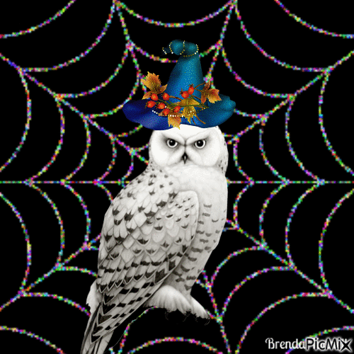 halloween owl - Kostenlose animierte GIFs