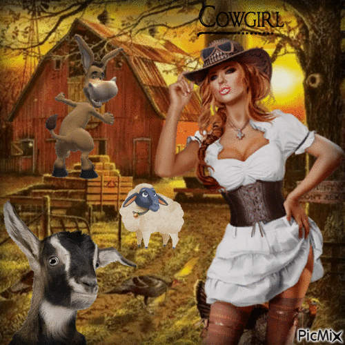 cowgirl - Ingyenes animált GIF