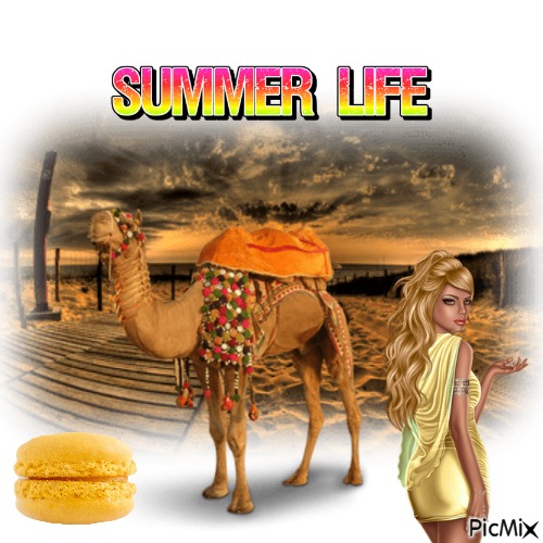 Summer Life - безплатен png