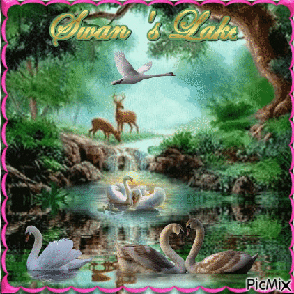 Swan 's Lake - Darmowy animowany GIF