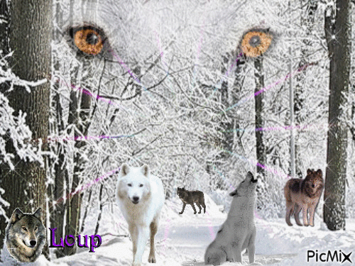 les loups - Ilmainen animoitu GIF