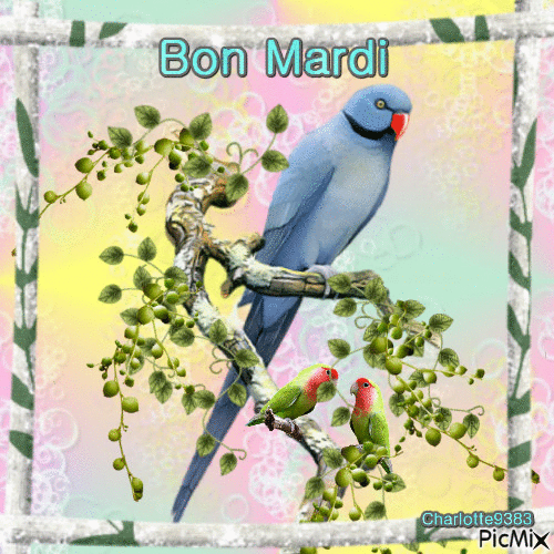 Bon Mardi - Animovaný GIF zadarmo