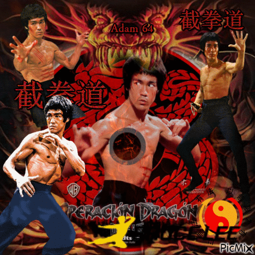 Bruce Lee contest - GIF animado grátis