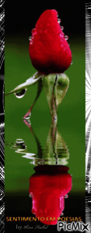ana - Darmowy animowany GIF