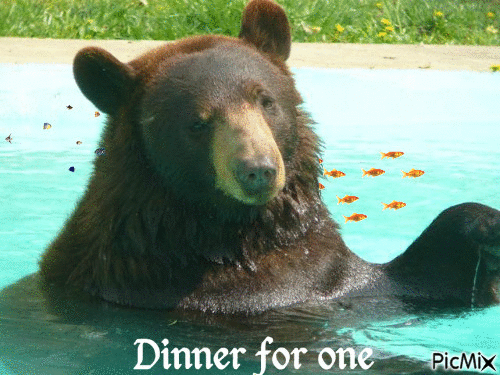 dinner for one - Free animated GIF