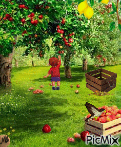 Manzanas y limones - Бесплатный анимированный гифка