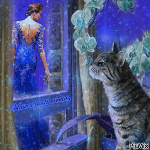cat with blue background - GIF animé gratuit