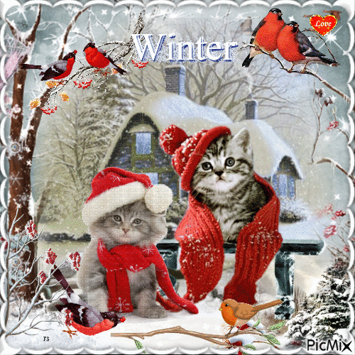CATS WINTER. - Nemokamas animacinis gif