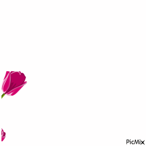 fiore - Bezmaksas animēts GIF