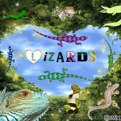 Lizards - GIF animé gratuit