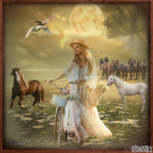 Girl with horses - PNG gratuit