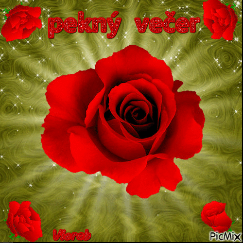 red rose - Zdarma animovaný GIF