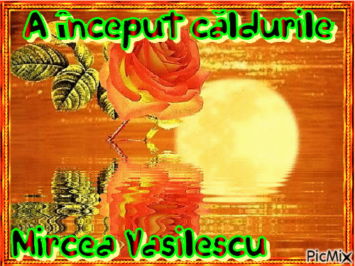 Mircea Vasilescu - Ingyenes animált GIF