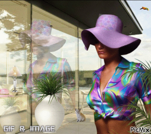 le reflet - Bezmaksas animēts GIF