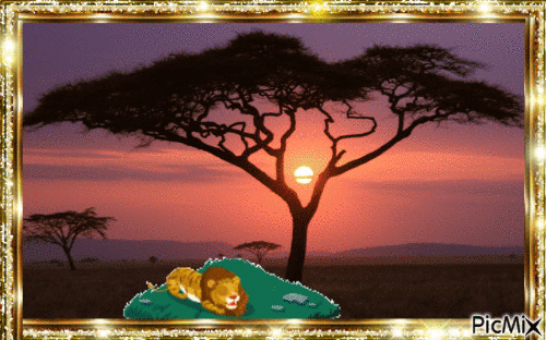 african_sunset-wide - GIF เคลื่อนไหวฟรี