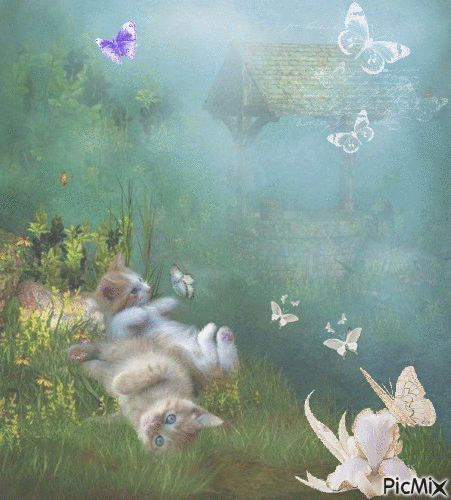 paysage paillons et chatons - 免费动画 GIF