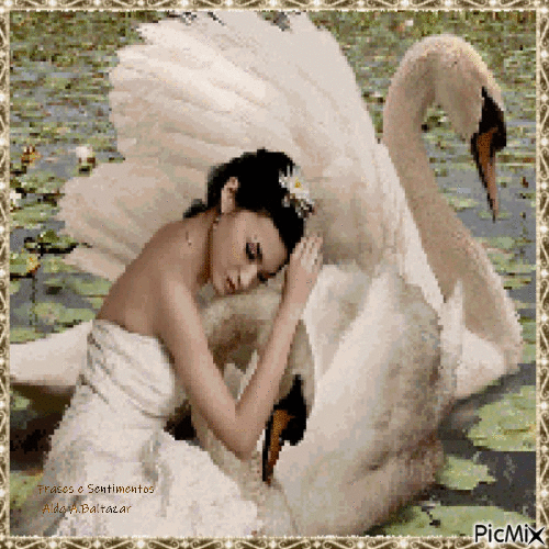 A mulher e o cisne - Δωρεάν κινούμενο GIF
