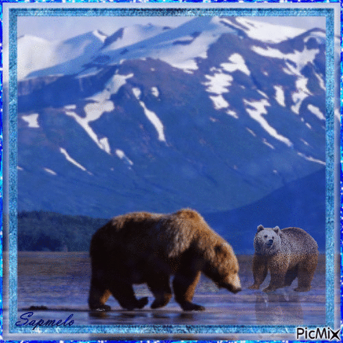 Urso - GIF animasi gratis