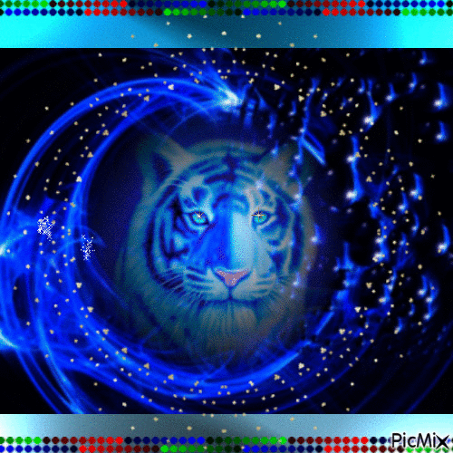 le tigre - Δωρεάν κινούμενο GIF