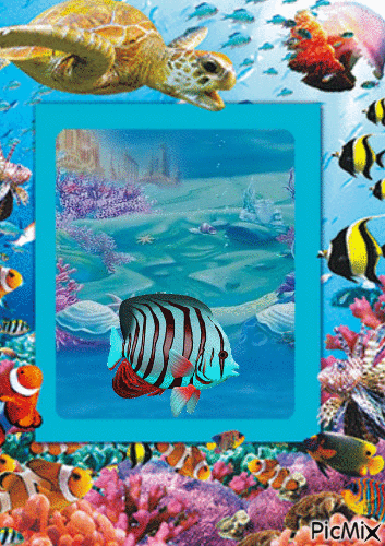 Fond de mer - GIF animado grátis