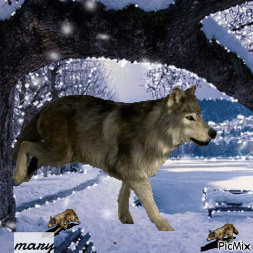 Les loups - Gratis geanimeerde GIF